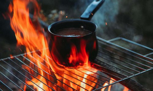 Пищевая цепь