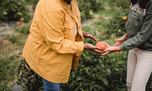 Безопасность пищевых продуктов