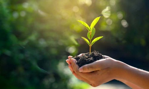 важные требования ISO 14001